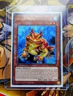 Swap Frog