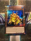 Swap Frog