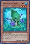 Sylvan Marshalleaf