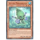 Sylvan Marshalleaf