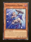 Tearlaments Merrli