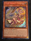 Secret Sect Druid Wid