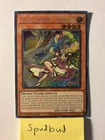 Tenyi Spirit - Suruya