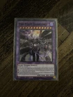 The First Darklord