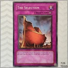The Selection