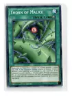 Thorn of Malice