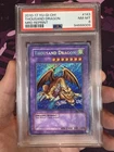 Thousand Dragon