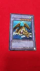 Thousand Dragon