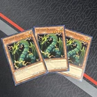Thunder Dragon