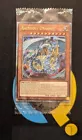 Debris Dragon