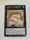 Toadally Awesome