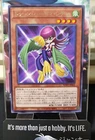 Harpie Lady
