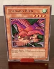 Tornado Bird