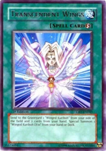 Transcendent Wings