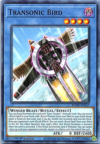 Transonic Bird