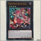 Traptrix Rafflesia