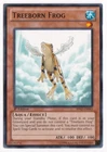Treeborn Frog
