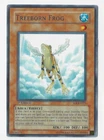Treeborn Frog