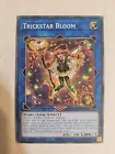 Trickstar Bloom