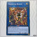 Trickstar Bloom