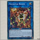 Trickstar Foxglove Witch