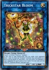 Trickstar Foxglove Witch