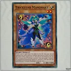 Trickstar Foxglove Witch
