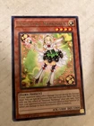 Trickstar Narkissus