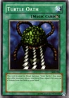 Bujingi Turtle