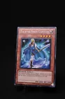 Tyr of the Nordic Champions