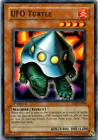 Bujingi Turtle