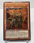 Brotherhood of the Fire Fist - Tiger King