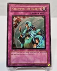 Hallowed Life Barrier