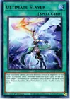 Ultimate Slayer