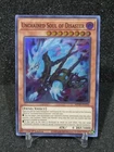 Unchained Soul of Disaster