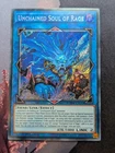 Unchained Soul of Rage