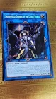 Dark World Dealings