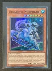 Ursarctic Mikpolar