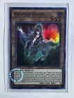 Vampire Ghost