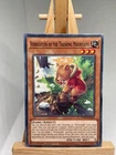 Trishula, Dragon of the Ice Barrier
