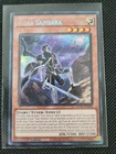 Visas Samsara