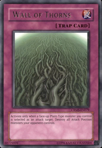 Wall of Thorns