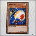 Wattkiwi