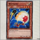 Wattkiwi