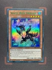 Rainbow Dark Dragon