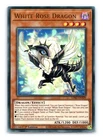 Rainbow Dragon