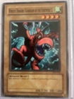 The Winged Dragon of Ra