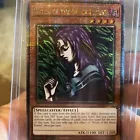 Witch of the Black Forest