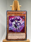 Witch of the Black Rose