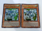 Light and Darkness Dragon